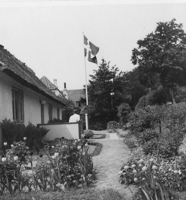 11 Pinsen 1944