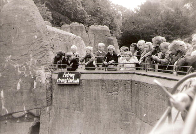 zoo 1962-3