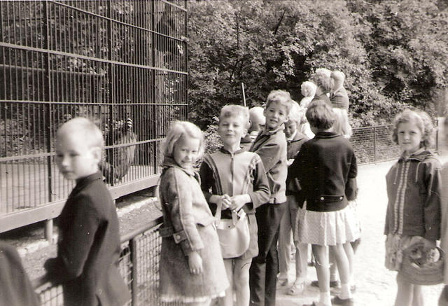 zoo 1962-4